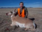 15 Carly 2014 Antelope Doe